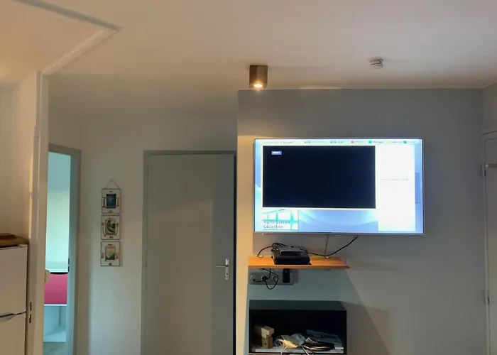 Le Green-center, 2 Pieces En Hyper Centre *