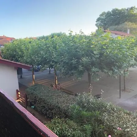 Le Green-center, 2 Pièces En Hyper Centre Appartement Soorts-Hossegor