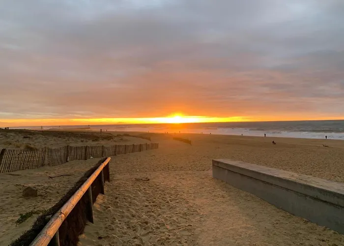 Le Green-center, 2 Pieces En Hyper Centre Soorts-Hossegor